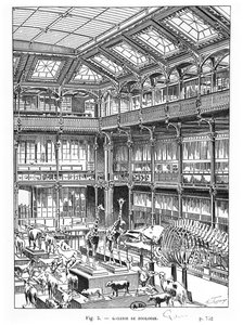 Museo di Storia Naturale a Parigi