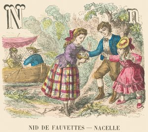 Nido di capinere - Culla