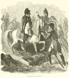 Napoleone a Waterloo (incisione) da French School
