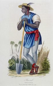 Negro piantatore del Brasile - in 