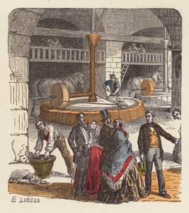 Produzione di olio d