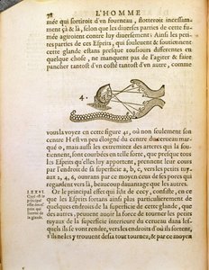 Diagramma ottico, da De Homine Figuris di René Descartes pubblicato a L