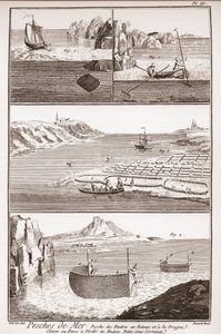 Pesca delle ostriche - 