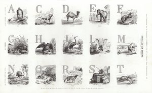 Pagina da Vignettes Typographiques da French School