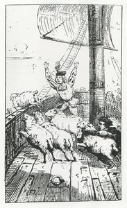 Le pecore di Panurge, illustrazione da 