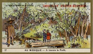 Attraversando una foresta, Messico