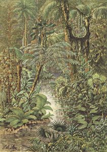 Paesaggio antidiluviano, una foresta dell