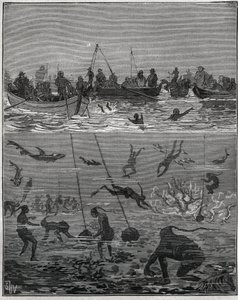 Pescatori di perle a Ceylon (attuale Sri Lanka) nel XIX secolo. Incisione del 1885 in "Les arts et métiers illustrés" di Adolphe Bitard da French School