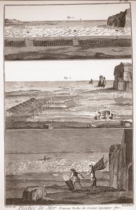 Pesca di mare - Trameau - Pesca di uccelli acquatici - "The Great Encyclopedie, ou Dictionnaire Raisonne des Sciences, des Arts et des Metiers" (Enciclopedia o Dizionario delle Scienze, Arti e Professioni) di Denis Diderot (1713-1784) e Jean d