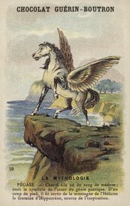 Pegaso da French School