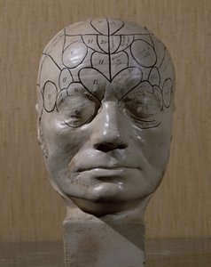 Testa frenologica di Jean Martin Charcot da French School