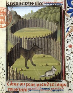 Trappola per lupo - nel "Libro di Caccia di Gaston Phoebus, Conte di Foix, Signore di Béarn" da French School
