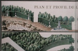 Piano e sezione trasversale del Bosco, da 