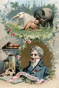 Ritratto del Barone Georges Cuvier, zoologo e paleontologo francese (1769-1832), fondatore dell