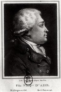 Ritratto di Felix Vicq d