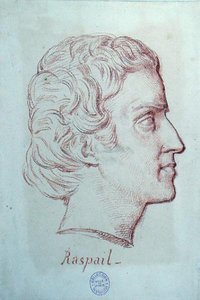 Ritratto di Francois Vincent Raspail (1794-1878) da French School