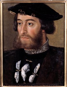 Ritratto di Guillaume de Bellay, Signore di Langey (1491-1543). Anonimo, XVI secolo. Versailles, Castelli di Versailles e di Trianon