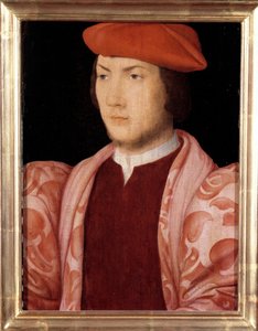 Ritratto di Odet de Coligny, cardinale di Chatillon nel 1534 (figlio di Gaspard de Coligny, Maresciallo di Francia e fratello dell
