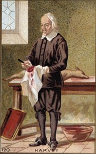 Ritratto di William Harvey (1578-1657), medico inglese da French School
