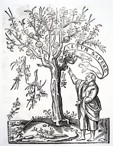 Emblema del tipografo di Robert Estienne, Parigi, 1526 da French School