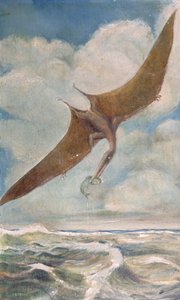 Pterodattilo che pesca da French School