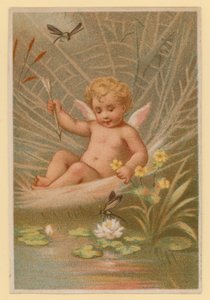 Putto che gioca