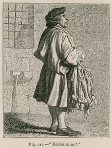 Pelli di coniglio da French School