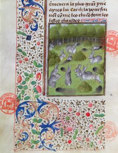 Conigliera, dal Livre de la Chasse di Gaston Phebus de Foix (1331-91)
