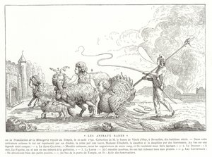 Animali Rari