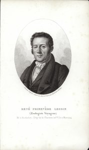 René Primevère Lesson da French School