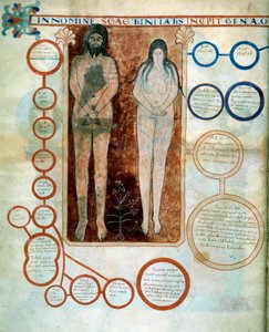 Rappresentazione di Adamo ed Eva, i medaglioni rossi rappresentano la linea di Caino, distrutta dal Diluvio. Miniatura che illustra i commenti di 