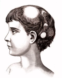 Tigna su bambino. 1887 (incisione) da French School