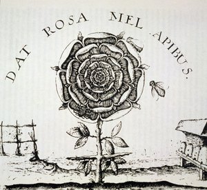Allegoria Rosacrociana, copia di un