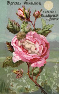 Pubblicità della preparazione per capelli Royal Windsor con una rosa e un bambino da French School