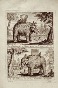 Elefanti reali, da Voyage du Siam des Peres Jesuites di Guy Tachard, 1688 da French School
