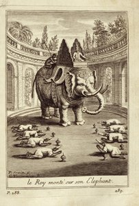 Elefanti reali, da Voyage du Siam des Peres Jesuites di Guy Tachard, 1688 da French School