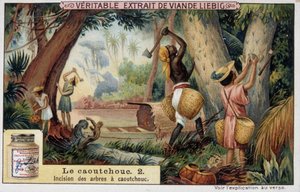 Gomma: incisione dei tronchi di gomma - Chromo Liebig da French School