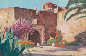 Saint Tropez: La cittadella