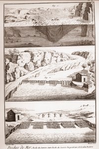 Tecniche di pesca al salmone - Enciclopedia o Dizionario delle Scienze, delle Arti e dei Mestieri di Denis Diderot (1713-1784) e Jean d