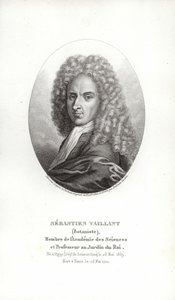 Sébastien Vaillant da French School