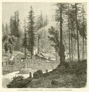 Segheria meccanica in una foresta di abeti da French School