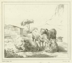 Pecore in un paesaggio