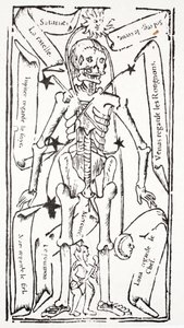 Scheletro con segni dello zodiaco
