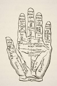Specimen della mano sinistra con le linee e le loro denominazioni oroscopiche, da 