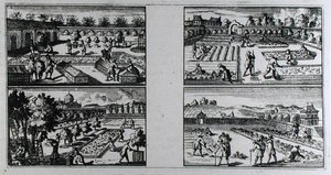 Curare un giardino, da 