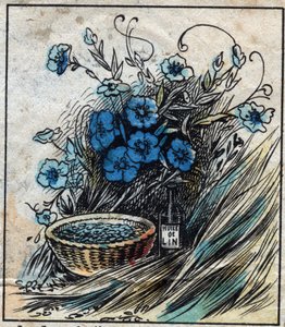 Tessile, lino. Fiore di lino (blu), stelo composto da paglia e filamenti per fare il filo di lino. Semi usati in medicina e da cui si estrae l