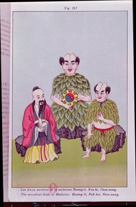 Gli dei ancestrali della medicina: Hwang-ti, Fuh-hsi con il Tai-ki, Shen-nung che assaggia una pianta medicinale, illustrazione da immagini popolari cinesi da French School
