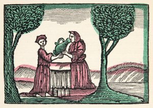 La fata da Histories or Tales of Past Times told by Mother Goose, With Morals, di M Perrault, pub. 1925 (stampa xilografica colorata a mano) da French School