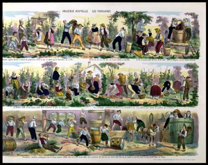 La vendemmia, Imagerie de Pont-a-Mousson da French School