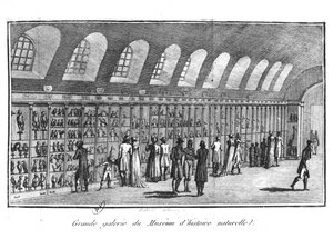 La Grande Galleria del Museo di Storia Naturale a Parigi da French School